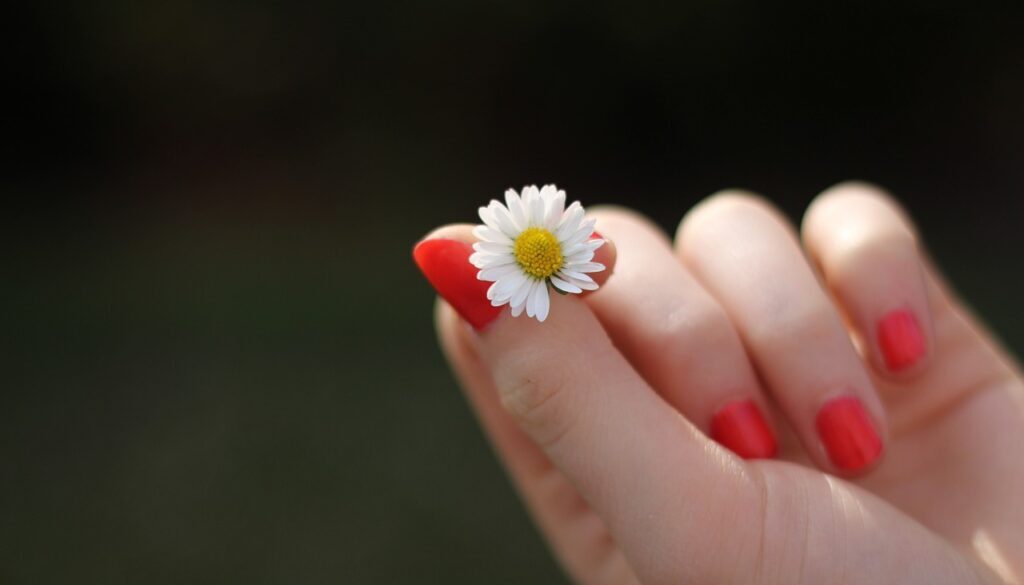 hand daisy flower finger 302802