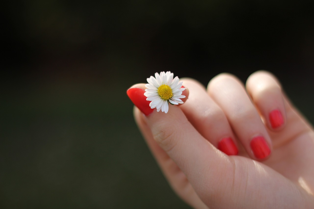 hand daisy flower finger 302802